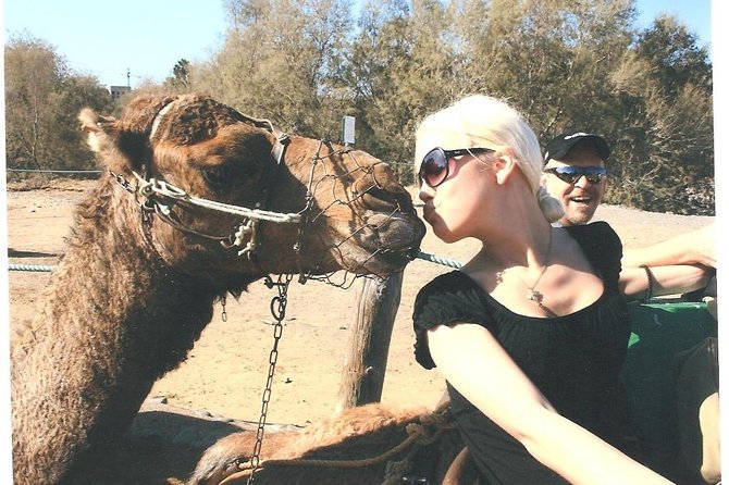 Camel Safari through the Dunes of Maspalomas - Key things to know before you step into the dunes