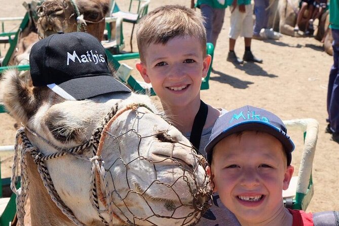Camel Safari through the Dunes of Maspalomas - Who should book this camel safari in Maspalomas