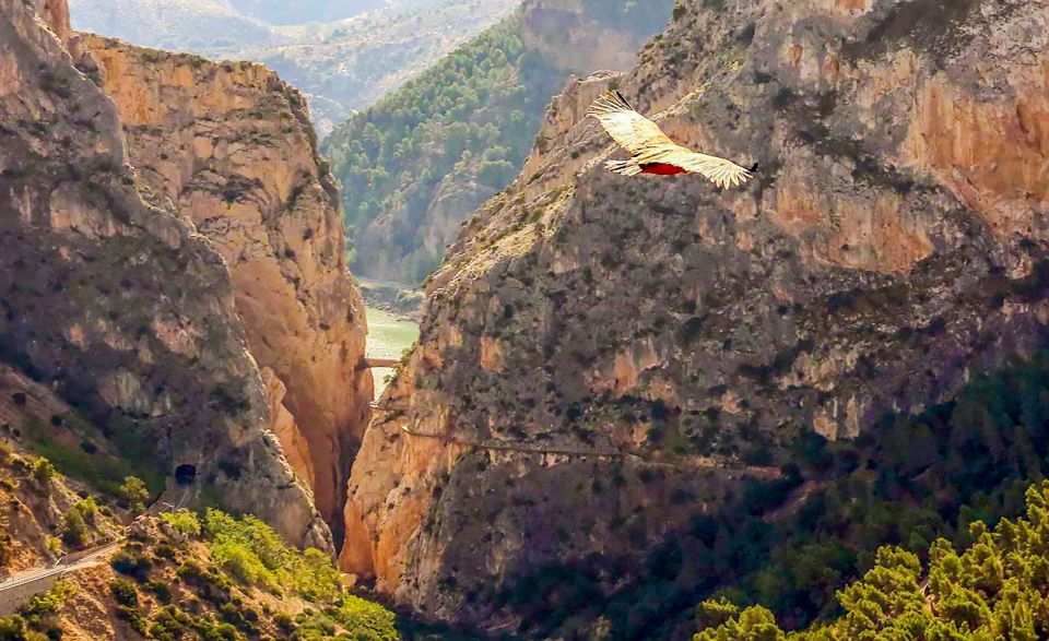 Caminito del Rey: Guided Tour and Entry Ticket - Heights factor and pacing: what to do if you’re nervous