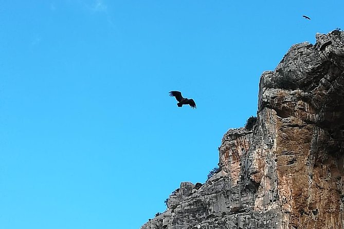 Caminito del Rey Trekking Walkway - Price and value: is $54 worth it?