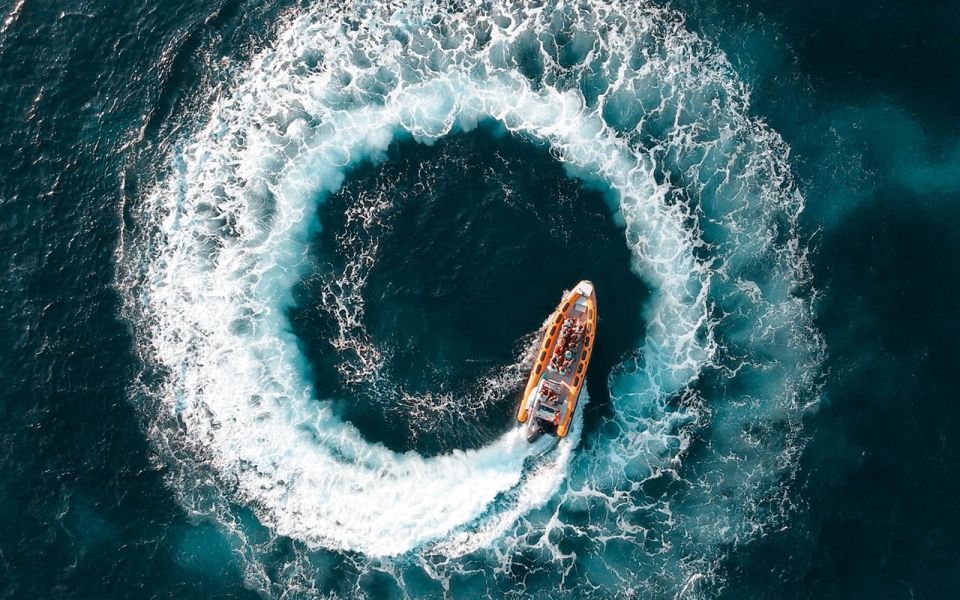 Can Picafort: Dolphin Watching Boat Tour, Swimming stop - Dolphins, Caves, and Cap de Formentor Views: What This Trip Really Delivers