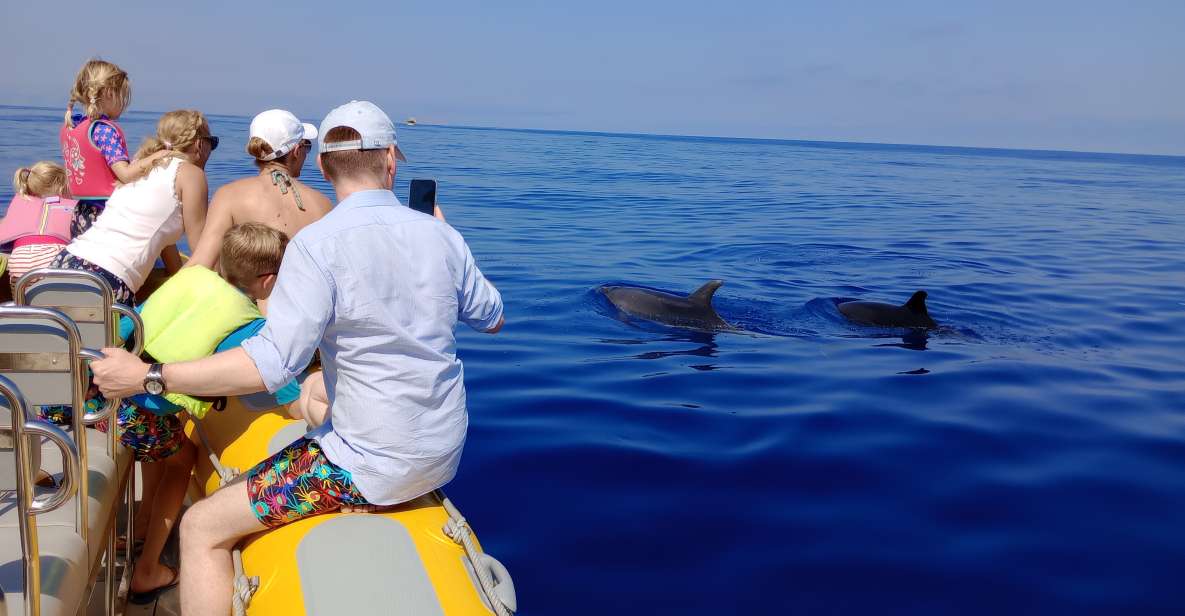 Can Picafort: Dolphin Watching Boat Tour, Swimming stop - The Dolphin Spotting Part: Getting Close Without Feeling Rushed