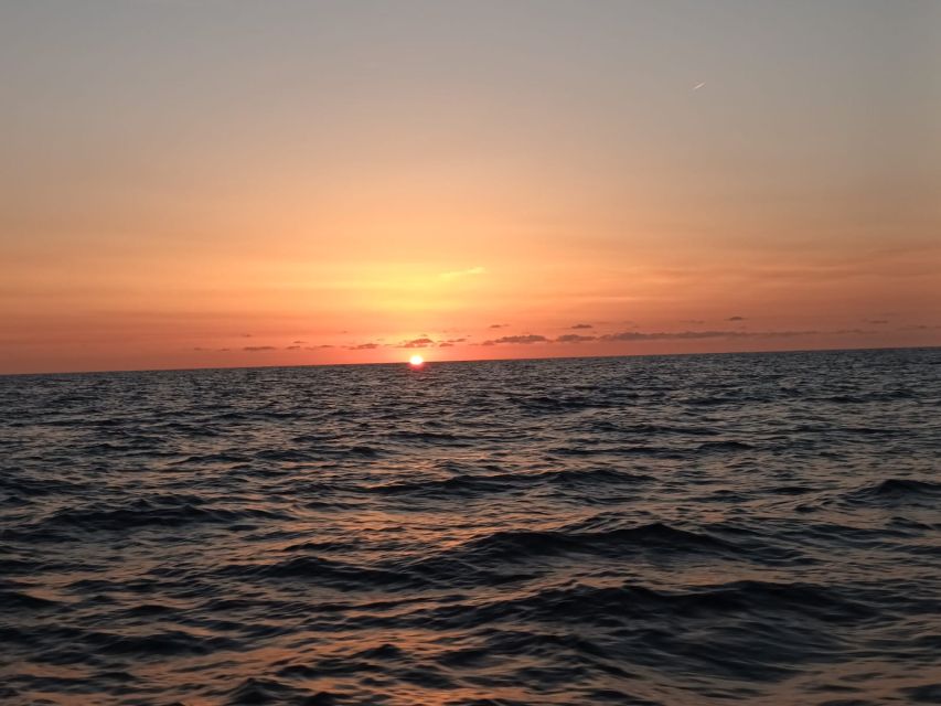 Can Picafort: Dolphin Watching Boat Tour, Swimming stop - Who This Tour Is Best For (and Who Might Want to Rethink It)