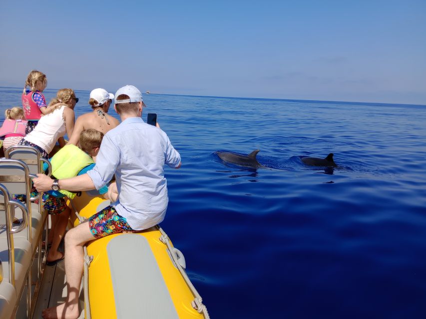 Can Picafort: Dolphin Watching Boat Tour, Swimming stop - Leaving Can Picafort Yacht Club: How the 3 Hours Typically Flow