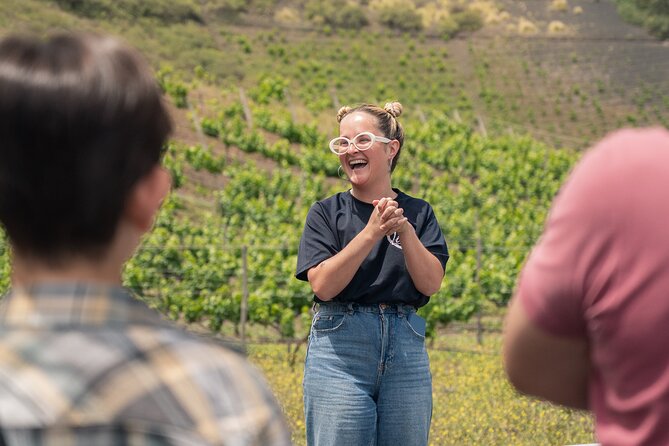 Canarian Wine Experience at Bodega los Lirios - How the Bandama Volcano setting changes the whole tasting