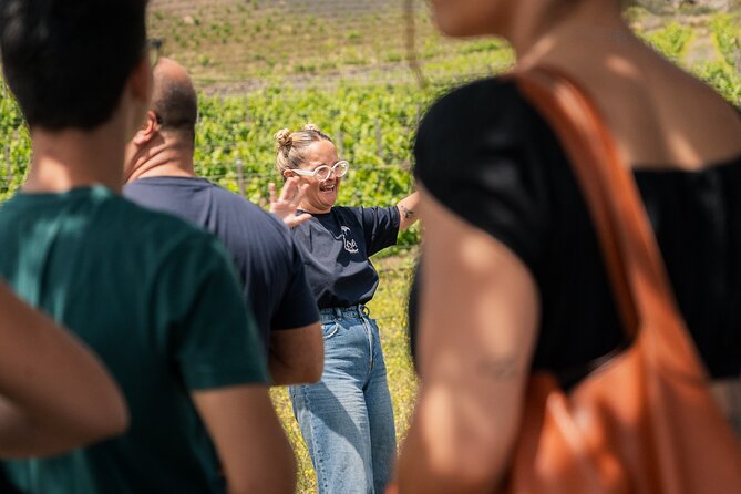 Canarian Wine Experience at Bodega los Lirios - The tasting: Llantén red wine with local delicacies