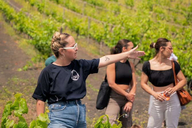 Canarian Wine Experience at Bodega los Lirios - Buying bottles: a practical way to extend the visit