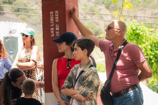 Canarian Wine Experience at Bodega los Lirios - Timing and meeting point: the 12:00 start is your anchor