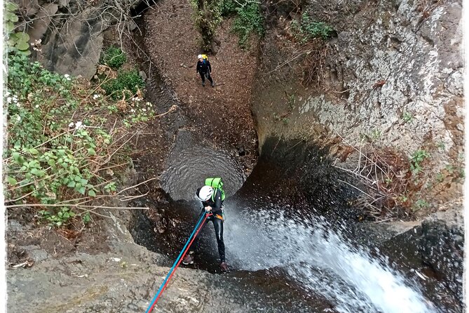 Canyoning in Gran Canaria: The Hidden Waterfalls and Magic Pools - Price and value: $78.61 for adrenaline plus skills