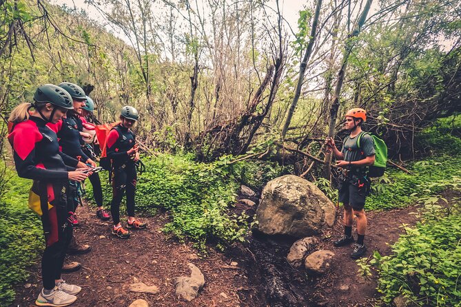 Canyoning with Waterfalls in the Rainforest - Small Groups ツ - Why Waterfall Canyoning Here Feels Like a Real Gran Canaria Break