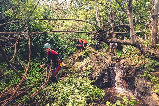 Canyoning with Waterfalls in the Rainforest - Small Groups ツ - Getting to the Canyon: Trek, Steep Slopes, and Wet-Ready Footwear