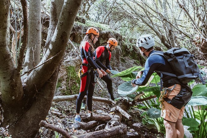 Canyoning with Waterfalls in the Rainforest - Small Groups ツ - Price and Value: Is $102.19 Fair for This Canyoning Day?
