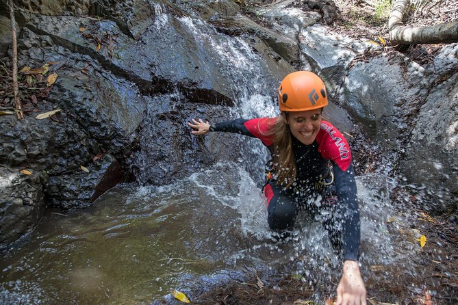 Canyoning with Waterfalls in the Rainforest - Small Groups ツ - Who This Tour Suits (And Who Should Skip It)