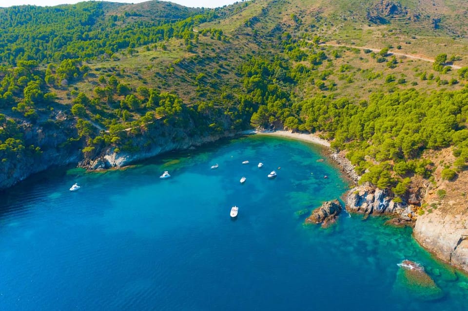 Cap Norfeu: Costa Brava Catamaran Trip with Underwater Views - Montjoi Bay and the El Bulli Foundation Moment