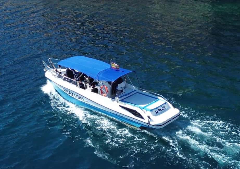 Cartagena: Guided boat tour of Cartagena and Algamecas Port - A smoother ride with a small-group setup (and who you’ll meet onboard)