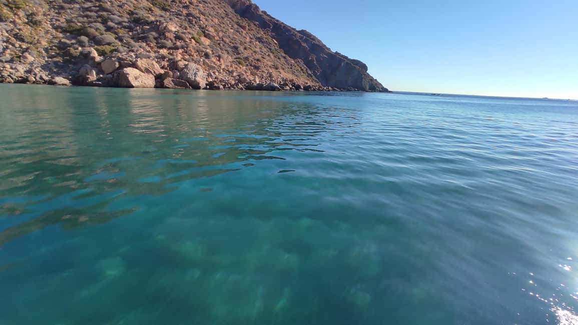Cartagena: Guided boat tour to Isla de las Palomas - Group size and the “time pressure” sweet spot