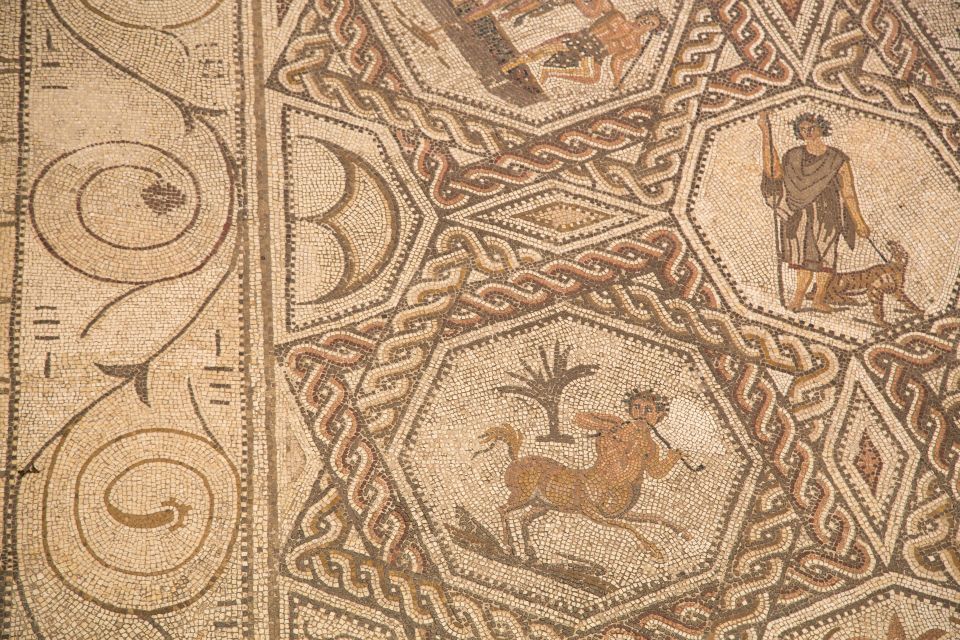 Casa de Salinas Entry Ticket with Audio Guide - Roman Mosaic Moment: Bacchanalian Shenanigans
