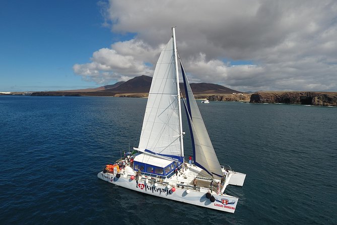 Catamaran Cruise to Papagayo beaches, lunch and water activities - Lunch On Board: Paella, Pasta Option, And How The Meal Works