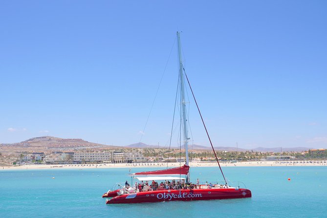 Catamaran Half-Day Cruise from Caleta de Fuste - What you’re really paying for (and what makes it good value)