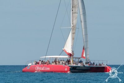 Catamaran Half-Day Cruise from Caleta de Fuste - Meeting point reality: getting on board without stress