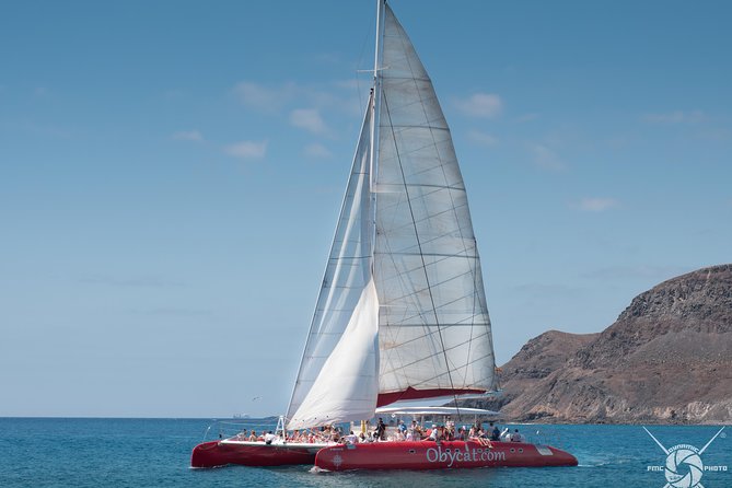 Catamaran Half-Day Cruise from Caleta de Fuste - Sailing toward Pozo Negro bay: the journey part is real time