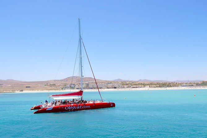 Catamaran Half-Day Cruise from Caleta de Fuste - The Pozo Negro bay stop: swimming, snorkeling, and a simple rhythm