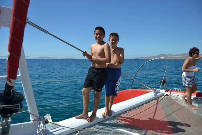Catamaran Half-Day Cruise from Caleta de Fuste - Dolphins, whales, and turtles: how to think about wildlife on a cruise