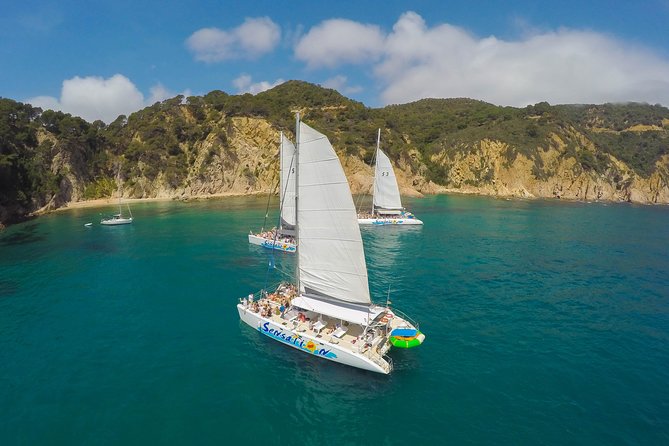 Catamaran ride -Costa Brava with barbecue and drinks. Familiar. - The cove stop: anchored near rocks, sheltered for swimming