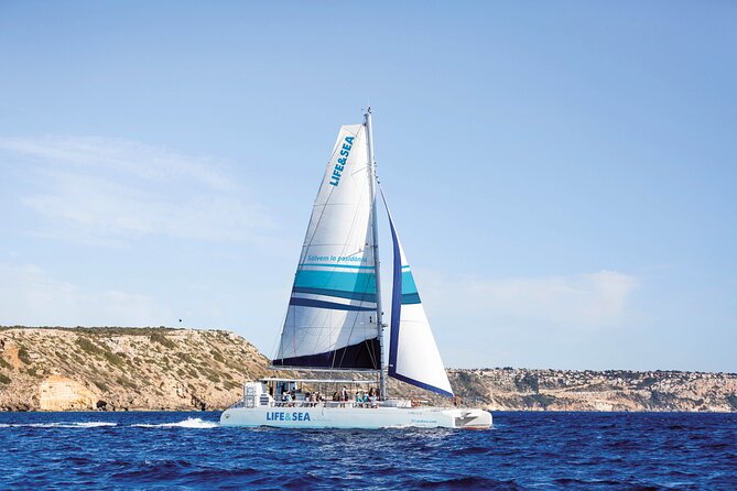 Catamaran with BBQ in the Bay of Palma - Key highlights you’ll actually care about