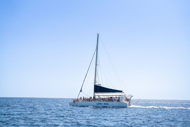 Catamaran with BBQ in the Bay of Palma - Who this catamaran BBQ tour fits best (and who might pass)