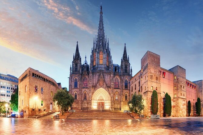 Cathedral of Barcelona Entrance Ticket - Optional Private Guide - Key things to know before you go