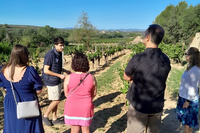 Cava tour to 3 family wineries with hotel pick-up - Stop 2: Giro del Gorner’s 5-century-old cellar and garden lunch