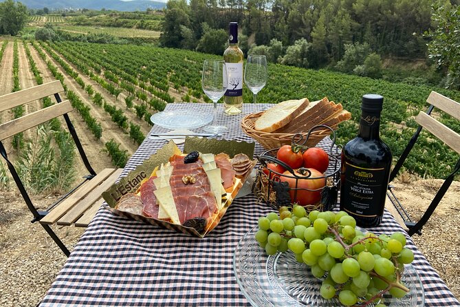 Cava tour to 3 family wineries with hotel pick-up - Stop 3: Vins El Cep for Pet-nat and Cava Gran Reserva