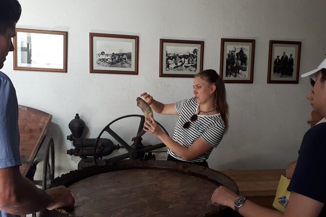 Cava tour to 3 family wineries with hotel pick-up - The itinerary at a glance: how the day flows