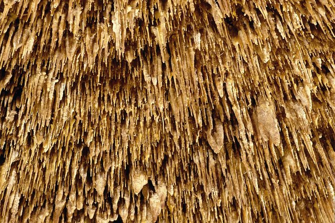 Caves of Drach Half-Day Tour with Boat Trip and Music Concert - The wooden boat ride: short, scenic, and easy to misunderstand