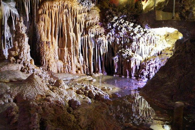 Caves of Genova Admission in Palma de Mallorca - Price and logistics: is $14.40 good value?