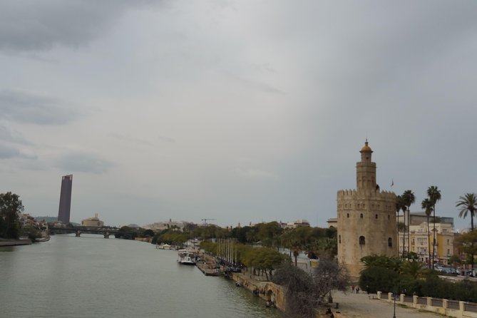 City Sightseeing Seville Hop-On Hop-Off Bus Tour - Stop signage, wait times, and avoiding the packed-bus frustration