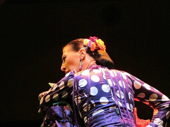 Combined ticket: Puro Flamenco Show + Flamenco Museum visit - Puro Flamenco + Flamenco Museum: what this ticket really gives you