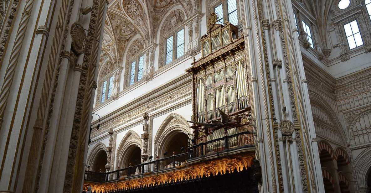 Cordoba: 3-Hour Private Tour - Where you meet: Patio de los Naranjos, not a guessing game