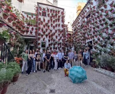Cordoba: Courtyards Festival Guided Tour in Spanish - Key Highlights You’ll Actually Care About