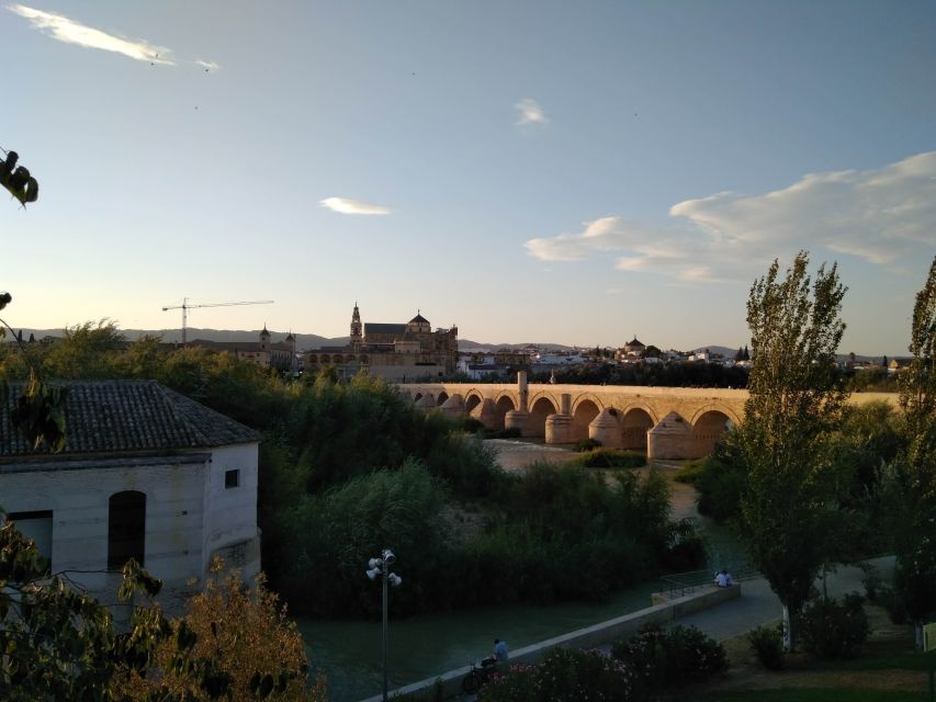 Córdoba Daily Highlights Bike Tour - Key things to know before you pedal off