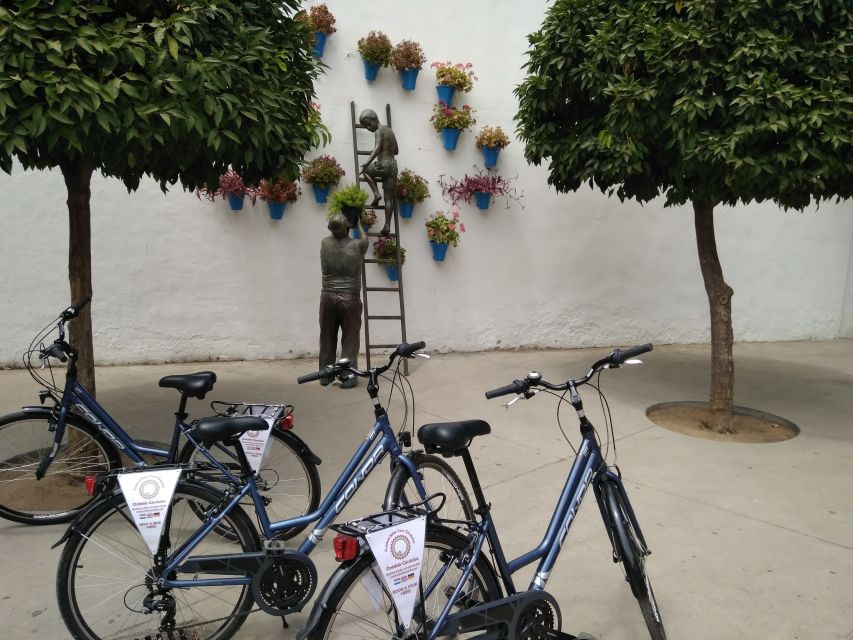 Córdoba Daily Highlights Bike Tour - Who Should Book This Bike Tour