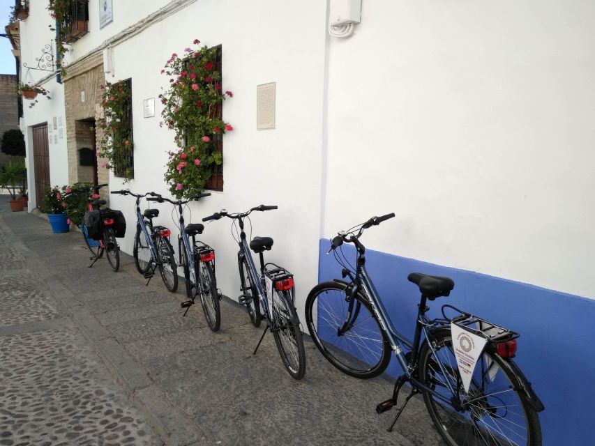 Córdoba Daily Highlights Bike Tour - How to Use the Tapas Tips the Same Day