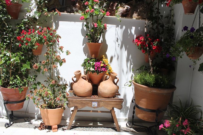 Cordoba Guided Tour Mosque and Cathedral from Seville - Practical tips for walking Córdoba without suffering