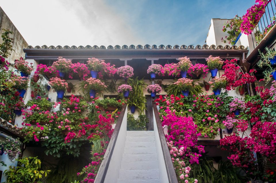 Córdoba: Guided Tour of the Patios - Meeting at the Royal Stables: Start Point and First Decisions