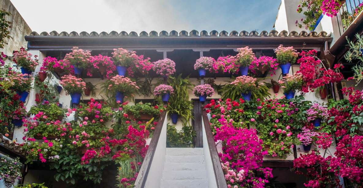 Córdoba: Guided Tour of the Patios - The Roman Origins Thread: From Hispania Baetica to the Courtyard Tradition