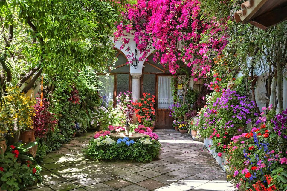 Córdoba: Guided Tour of the Patios - Inside the Stops: How Each Courtyard Changes the Experience