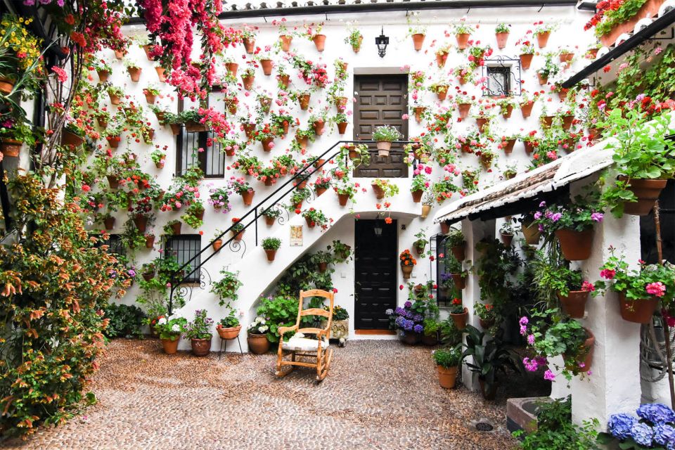 Córdoba: Guided Tour of the Patios - The Value Call: Why $23 Feels Fair When Ticket Fees Are Included