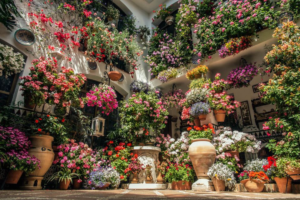 Córdoba: Guided Tour of the Patios - Language Choice: Spanish or English, and Why It Shows