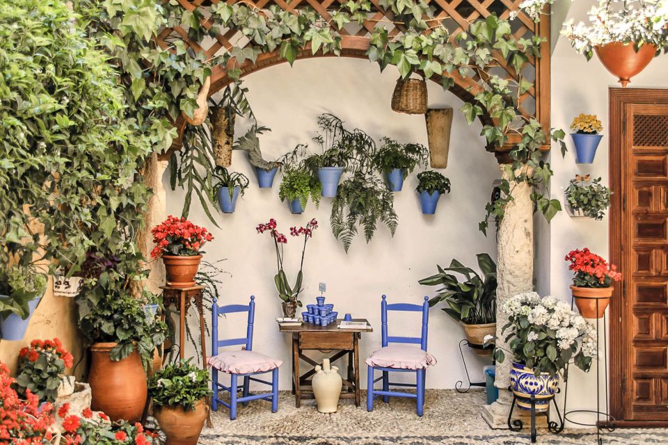 Córdoba: Guided Tour of the Patios - What the Patios of Córdoba Really Are (Not Just Pretty Courtyards)